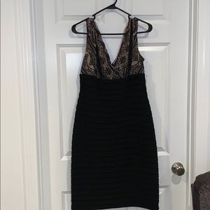 NWT DRESSBARN LACE AND BANDAGE DRESS